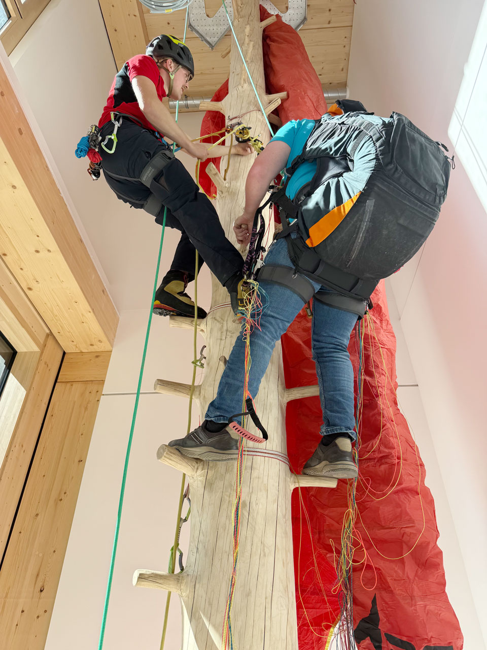 Bergwacht trainiert Bergung von Gleitschirmfliegern an speziellem Kletterbaum Kletterbaum